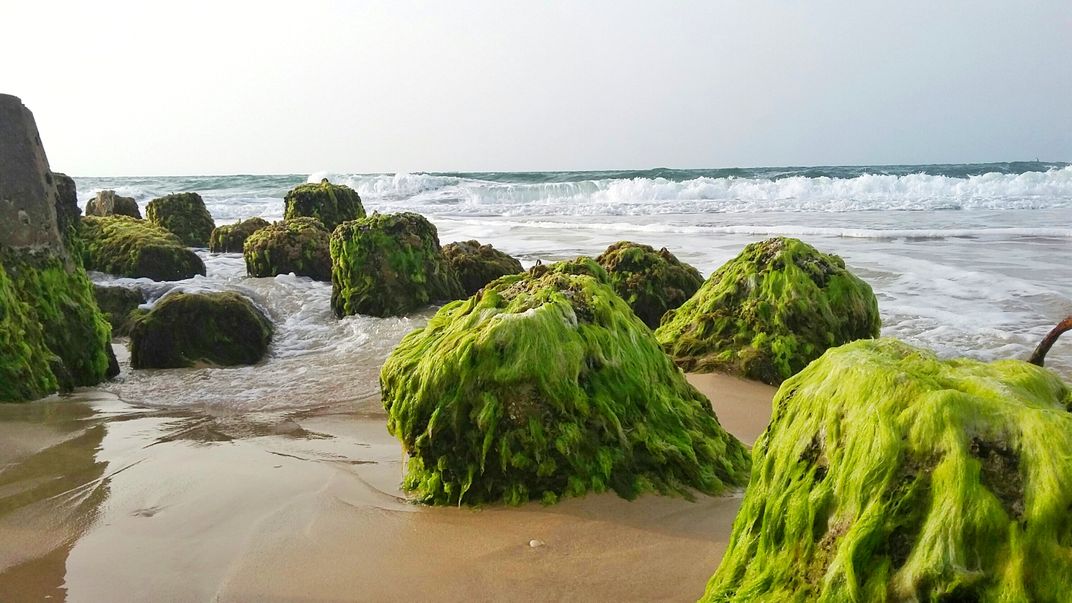 waves slapped Rocks | Smithsonian Photo Contest | Smithsonian Magazine