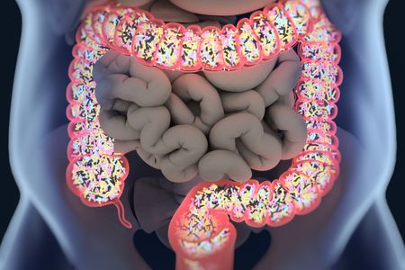 The human gut is filled with trillions of microbes.