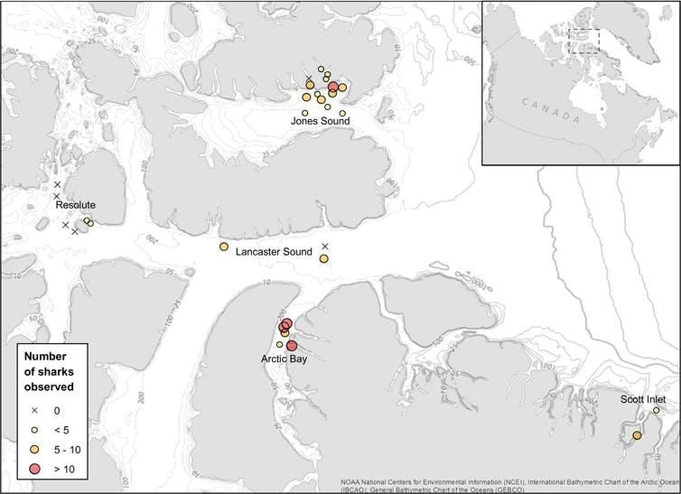 Map of baited camera deployments