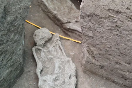 Human burials exposed and recovered during the archaeological excavations at the forest island of La Chacra during excavations.