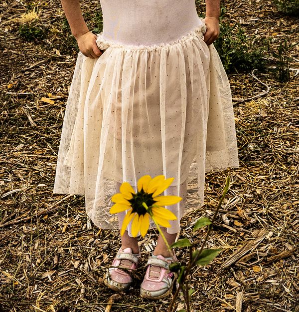 Flower at Her Feet, Oak Glen, California, 2025 thumbnail