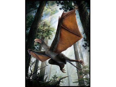 Bat-like Yi qi is the flying dinosaur this forest deserves. 