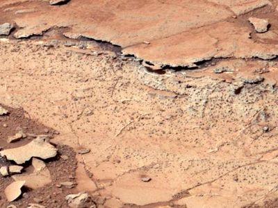 The Sheepbed Mudstone on Mars. Low salinity, tolerable acidity and other traits would have made this ancient lake hospitable to life