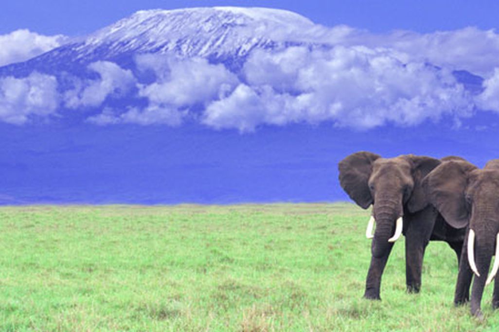 Mount Kilimanjaro