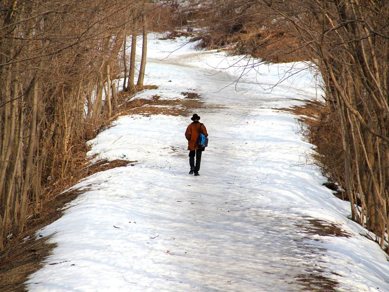 On a cold February day in Dobbs Ferry, New York, there is still no sign