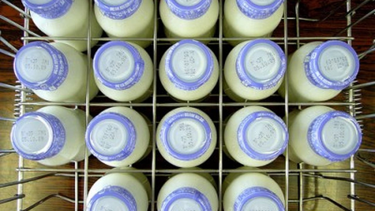 kokumi glutathione The Kokumi Sensation
