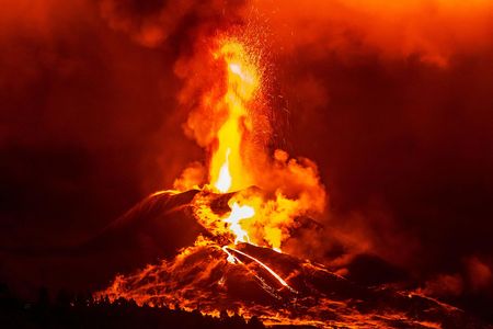 The eruption of a volcano on Spain&rsquo;s La Palma island took a toll on nearby fish.