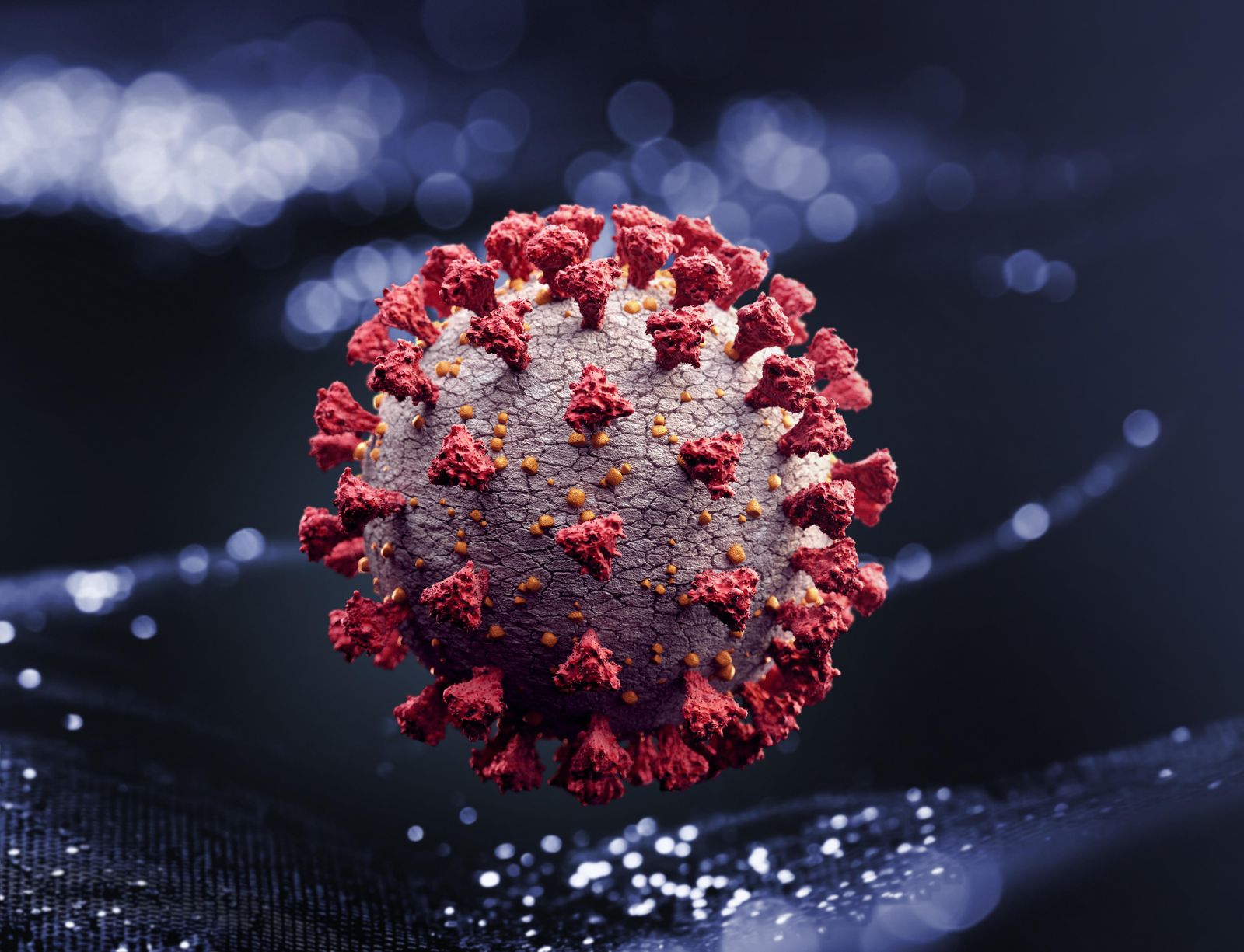 New Report Details Impacts of ...
