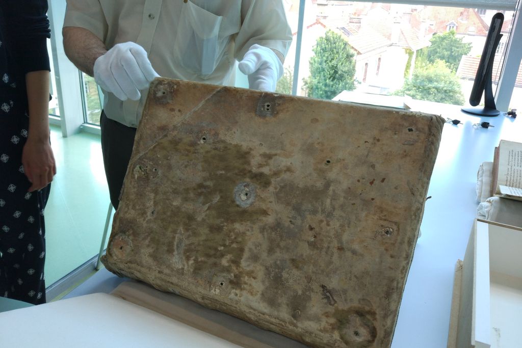 Person with gloved hands holding up an old book