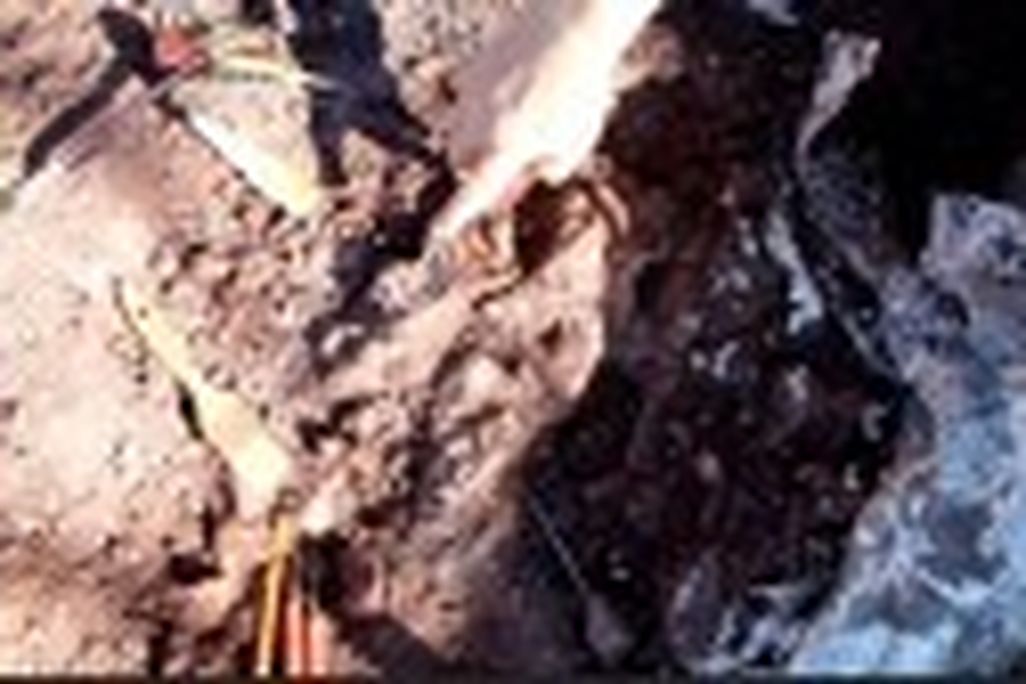 20110520083252dimetrodon-150x84.jpg