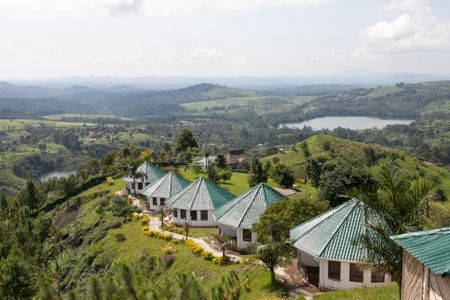 The skittish cat was spotted in Uganda's Kibale National Park. 