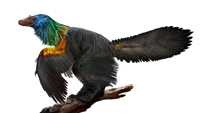 Caihong