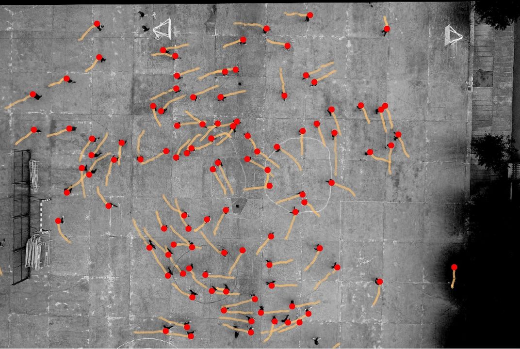smithsonianmag.com - Margherita Bassi - Researchers Accidentally Discover That Humans Prefer to Turn Counterclockwise. But They Still Have No Idea Why