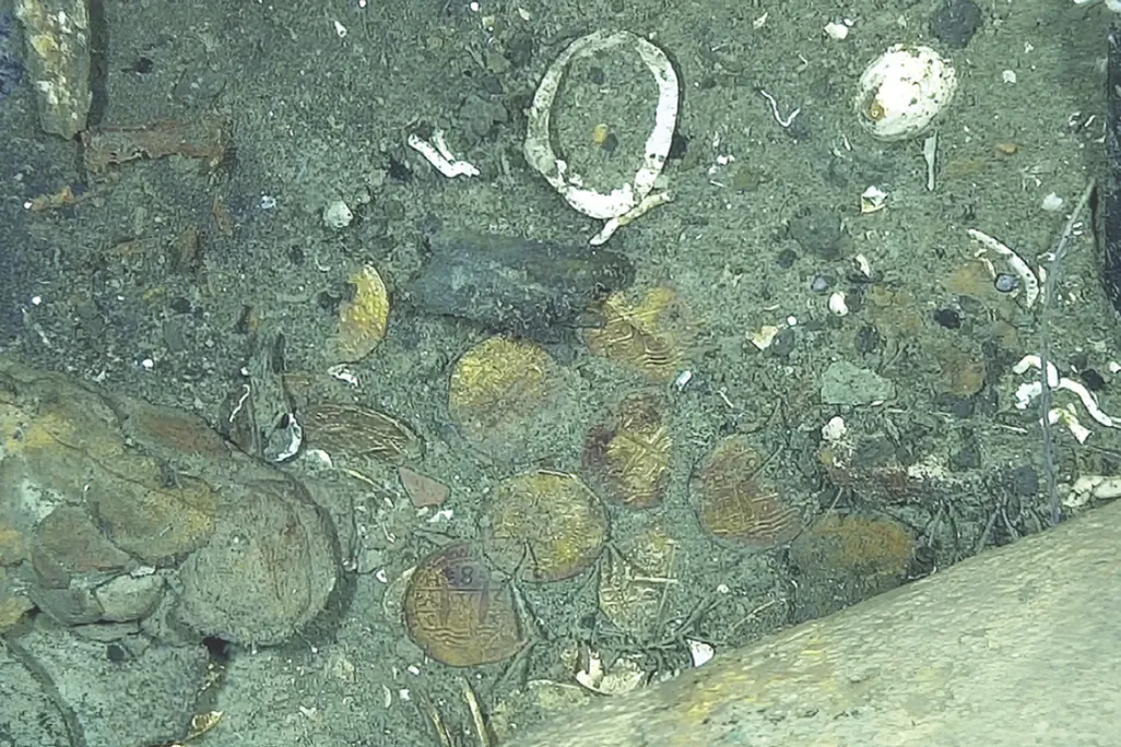 In situ photograph of cob hoard area in the port section of the stern, showing the obverse and reverse faces of coin, as they were observed on the seabed