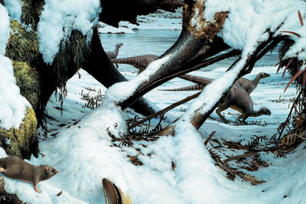 Dinosaur winter