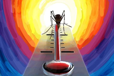 Anopheles gambiae mosquitoes use a receptor called IR21a to navigate toward warmth, a cue that signals they're near food.