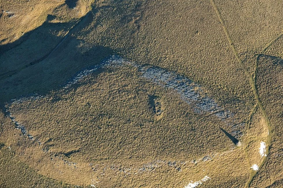 Overhead view of grassy area