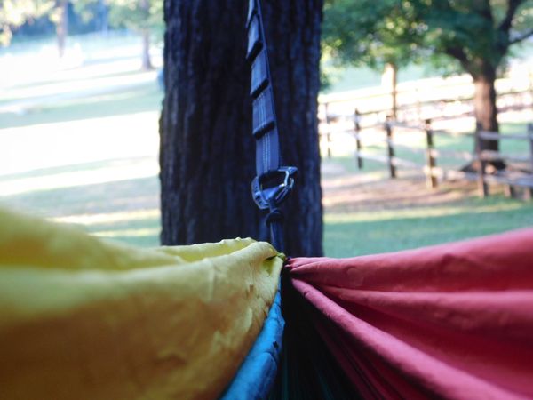 A View From A Hammock thumbnail