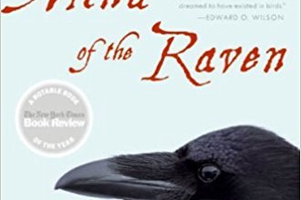 Mind of the Raven: Investigations and Adventures with Wolf-Birds