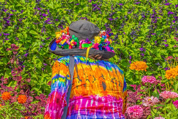 Colorful clothes and colorful flowers thumbnail