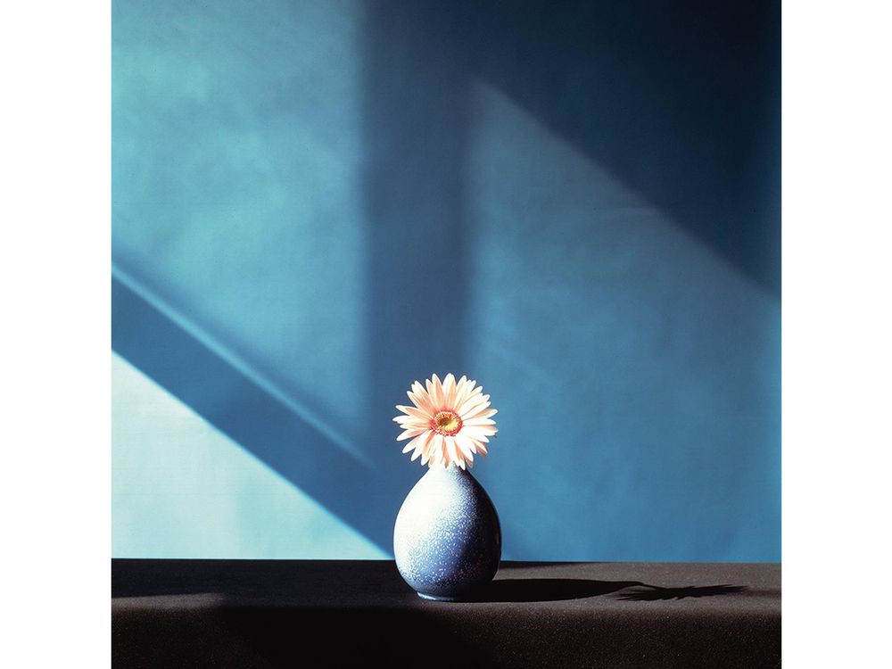 ⭕️ Robert Mapplethorpe キャンドル チューリップ Tulips - Robert Mapplethorpe | The Broad
