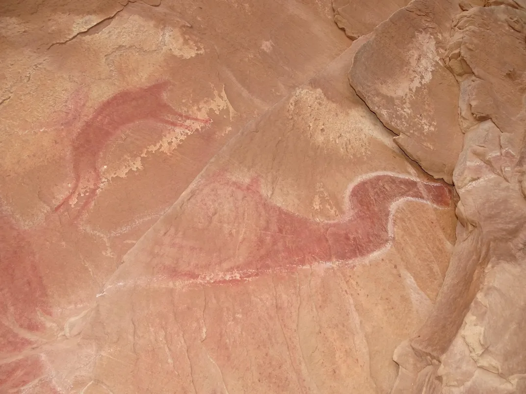 'dragon' rock art