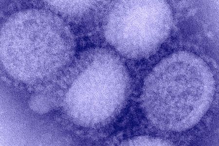 Principles from the weather models that predicted Sandy a week ahead of time might be used to warn about the flu before it arrives.