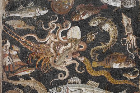 Polychrome mosaic emblema (panel) showing fish and sea creatures, Pompeii, House of the Geometric Mosaics
