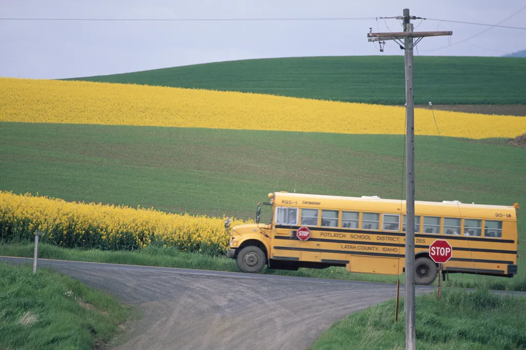 Yellow school bus beside a field