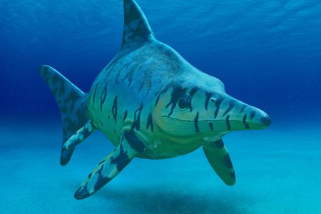 Ichthyosaurs (Greek for "fish lizard") were large marine reptiles that lived alongside the dinosaurs during most of the Mesozoic era. 
