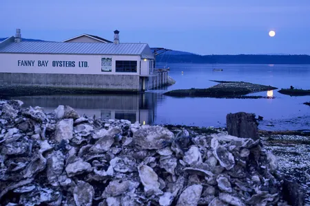 Shucked oyster shells lay beneath the moonlight at Fanny Bay Oyster Company on Vancouver Island in British Columbia, Canada.