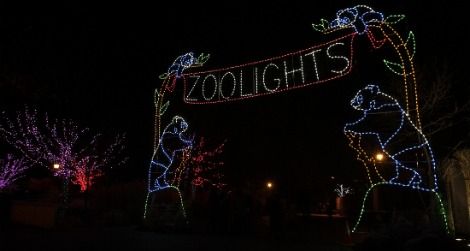 Come see the ZooLights holiday festival on January 1st