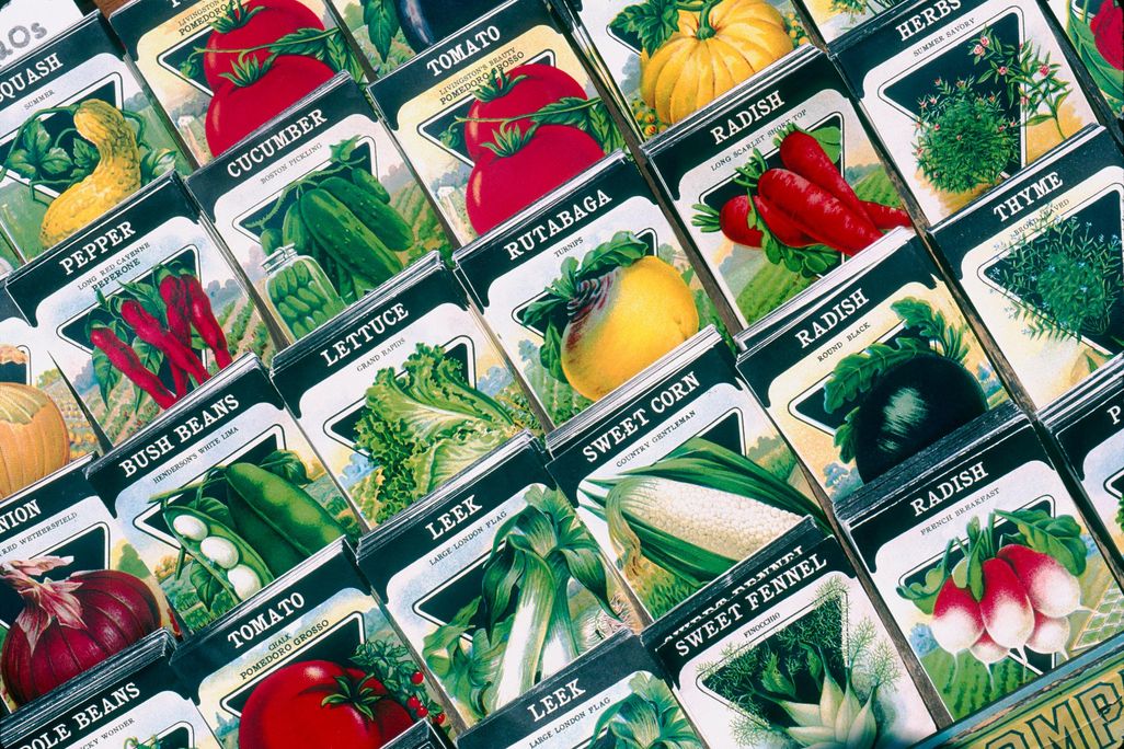 Seed Packets