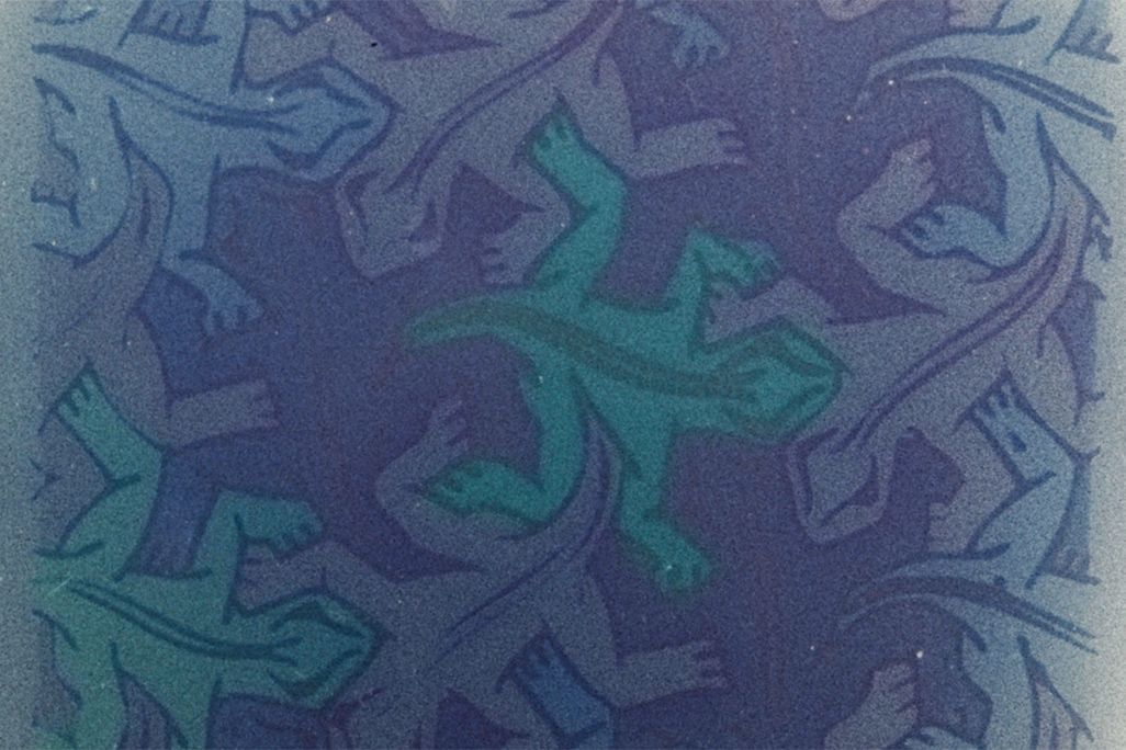 Bacterial Lizards