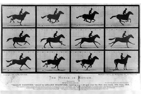 In June of 1878, just a few years after he was acquitted for murder, Eadweard Muybridge made history at a racetrack in Palo Alto, California. 