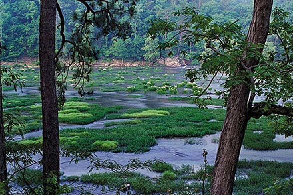 Cahaba River