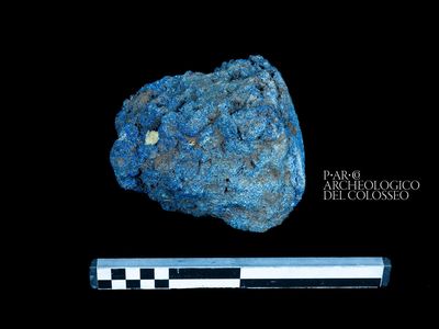 The hunk weighs a whopping five pounds and measures more than six inches long.