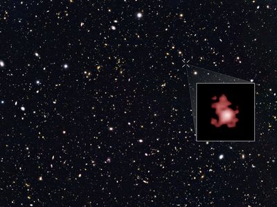 Galaxy GN-z11 seen in its youth by the Hubble telescope. GN-z11 is shown as it existed 13.4 billion years in the past, just 400 million years after the Big Bang.