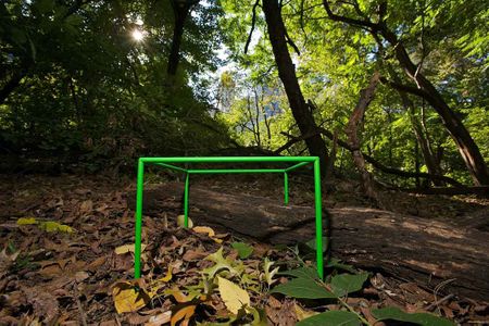 A biocube is placed in Central Park's Hallett Nature Sanctuary in New York City.