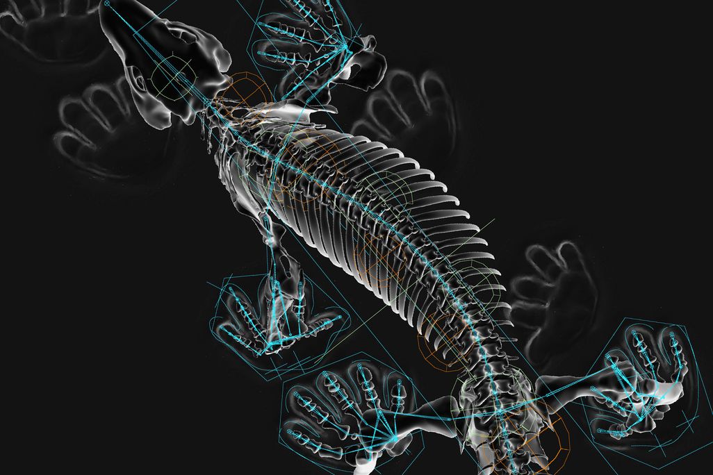 Roboto Lizard