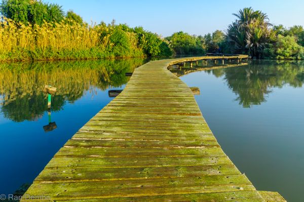 Elevated pathway over a pond, in En Afek nature reserve thumbnail
