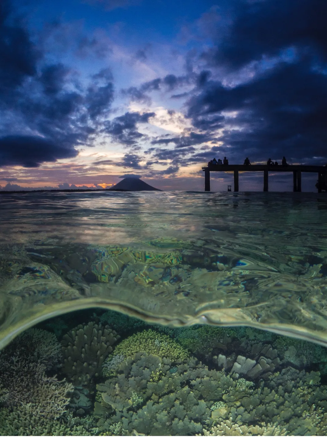 The Coral Triangle