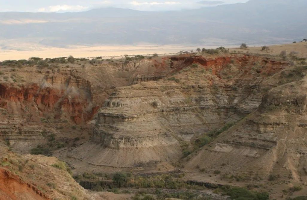 Cradle of Humankind