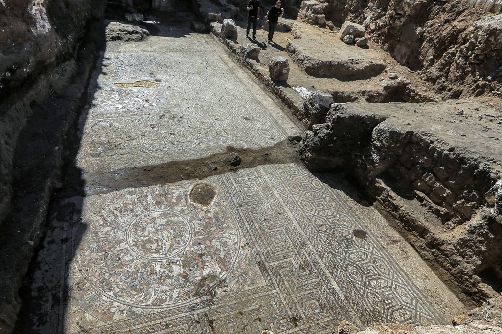 View of mosaic