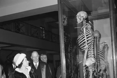 Queen Elizabeth examines the bones of Charles Byrne in 1962.