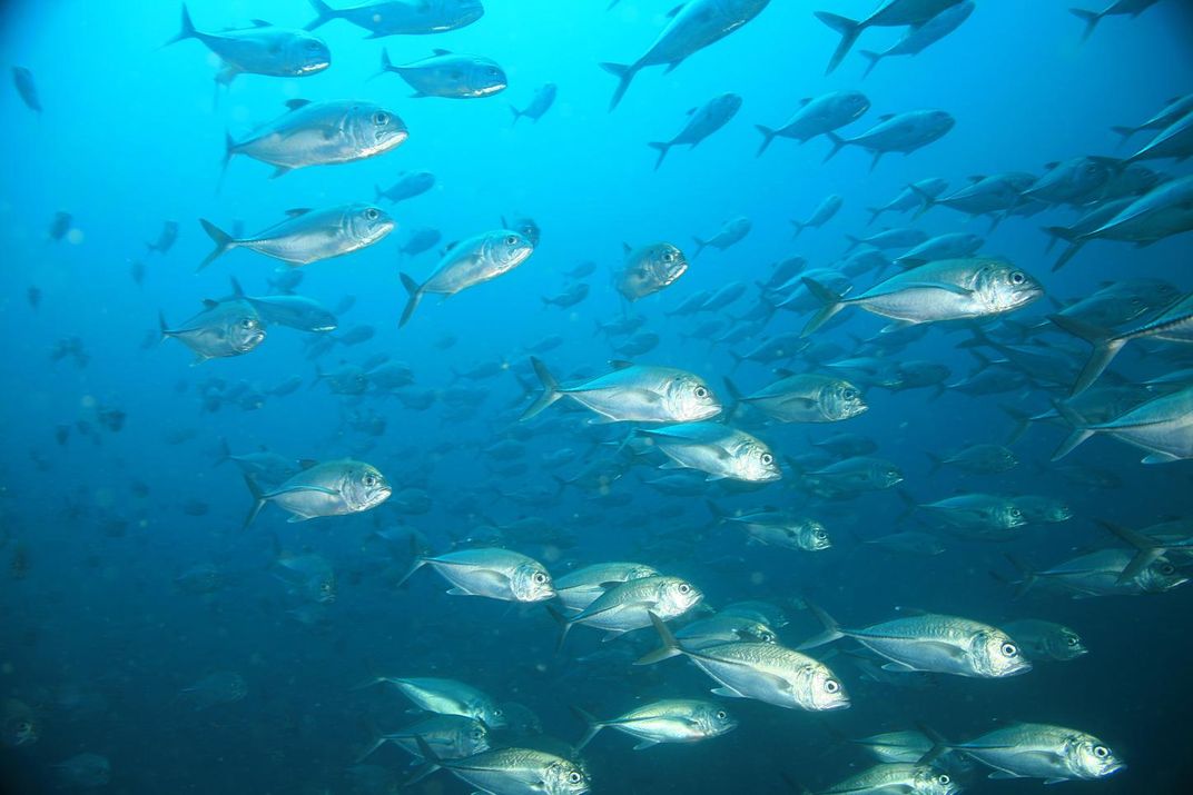 Coiba National Park