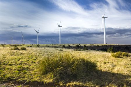 A wind farm in Amarillo, Texas.