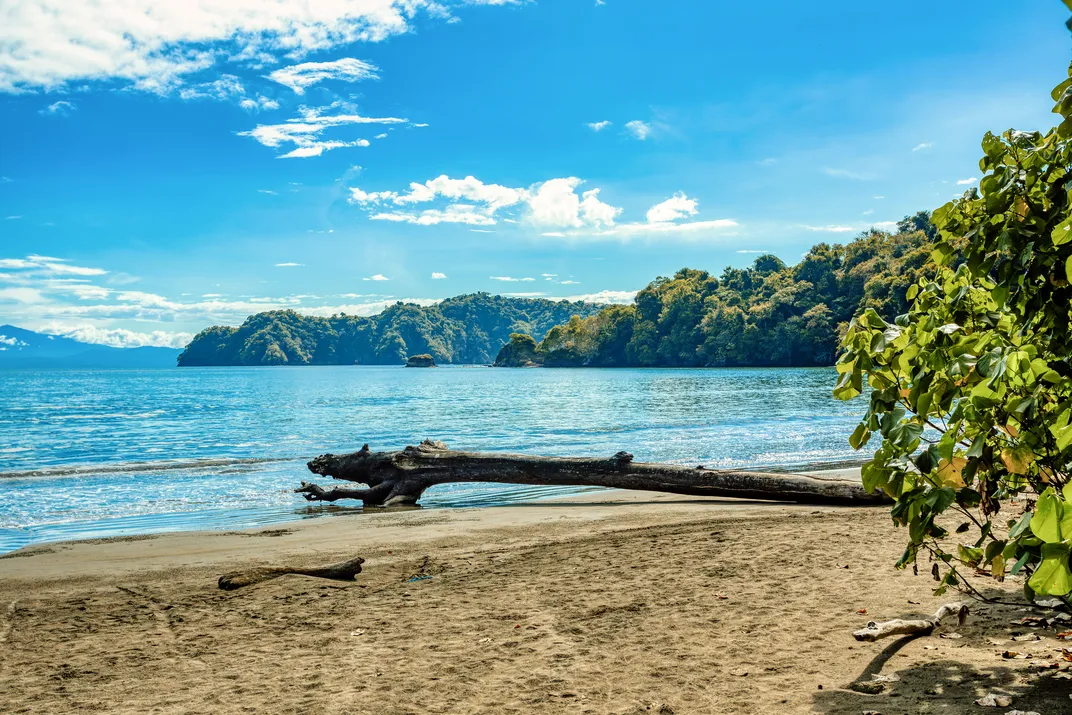 Beach at Curu Wildlife Preserve