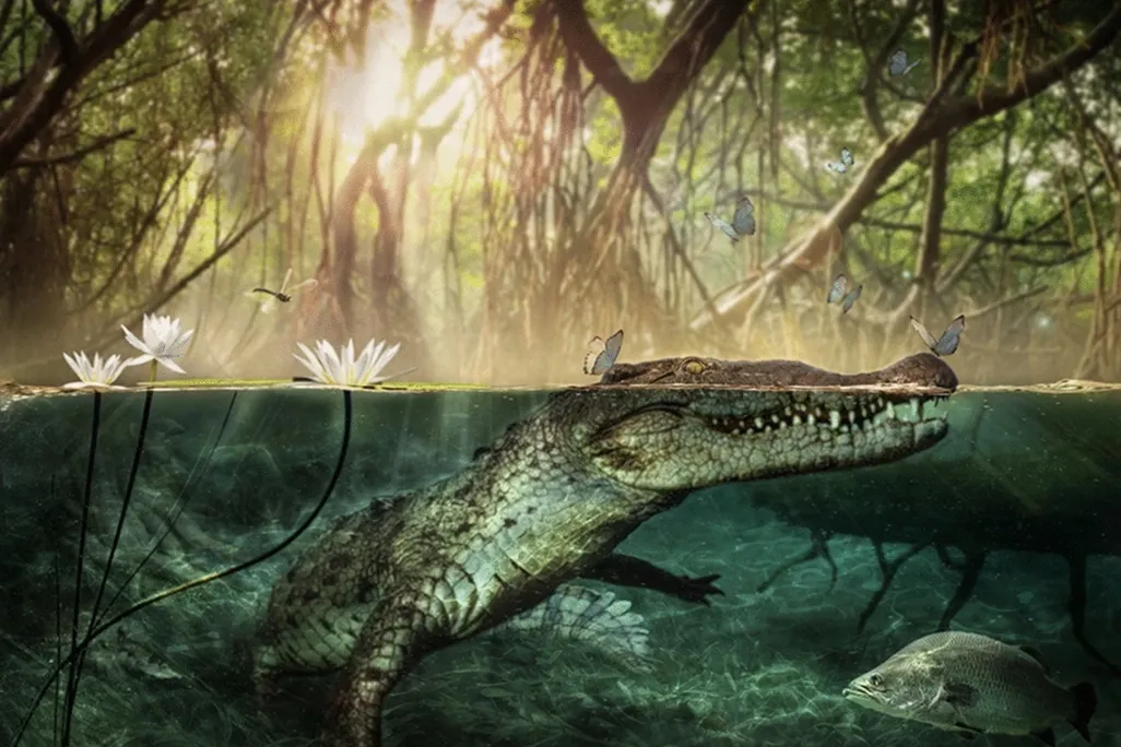 Big Croc