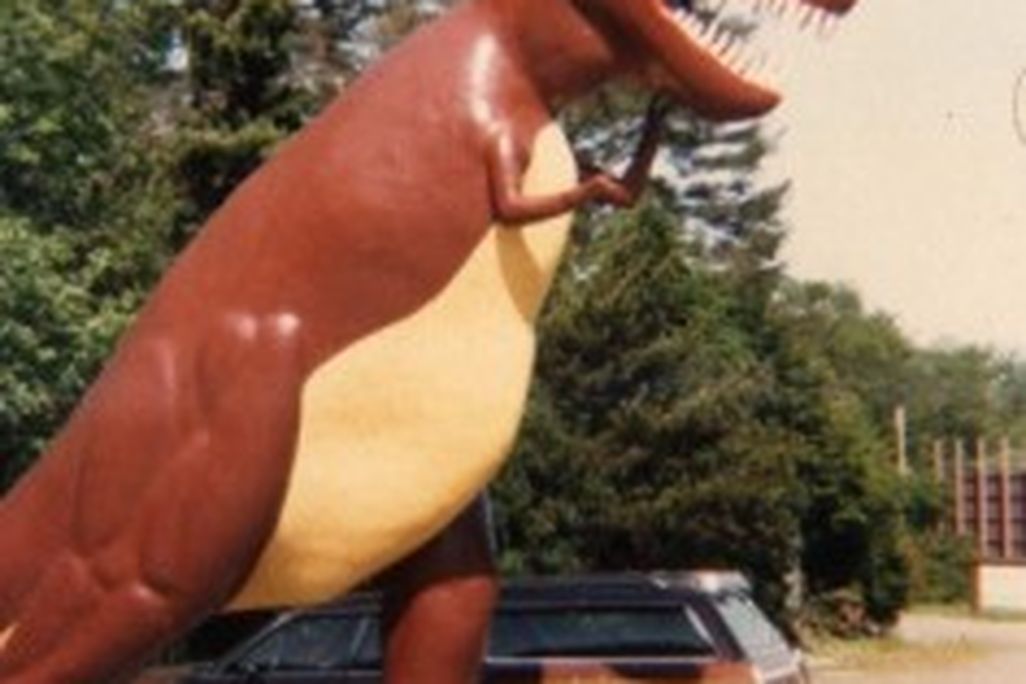20110520083158tyrannosaurus-thunderbeast-park-236x300.jpg